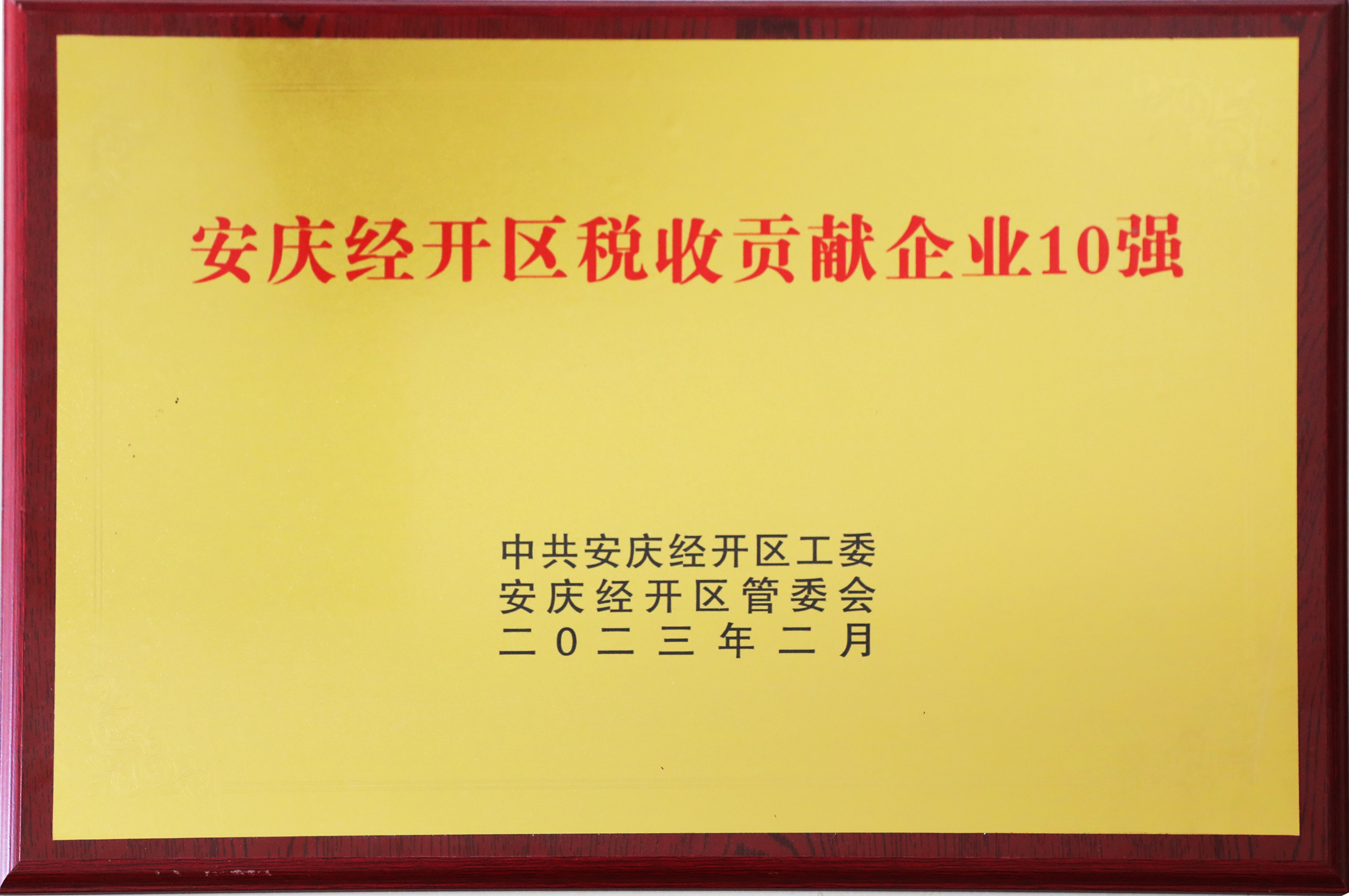 安庆市经开区税收孝顺企业10强.jpg